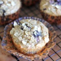 Blueberry Orange Oatmeal Muffins