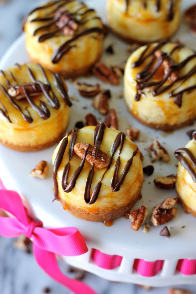 Mini Vanilla Bean Turtle Cheesecake