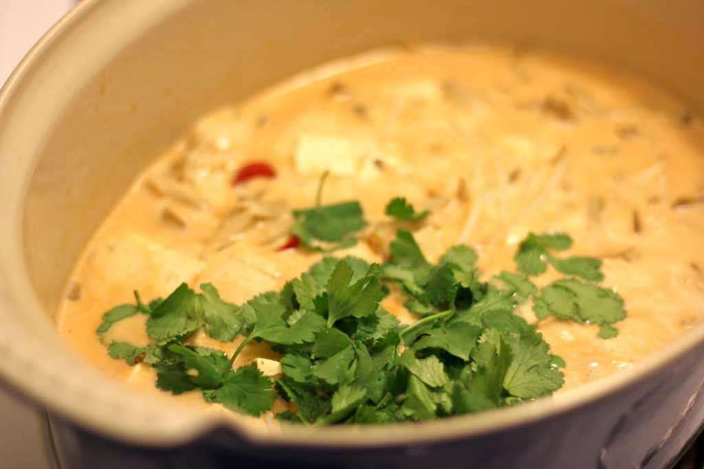 Thai Red Curry Soup - This quick and easy soup is the perfect kind of comfort food on a cold winter night!