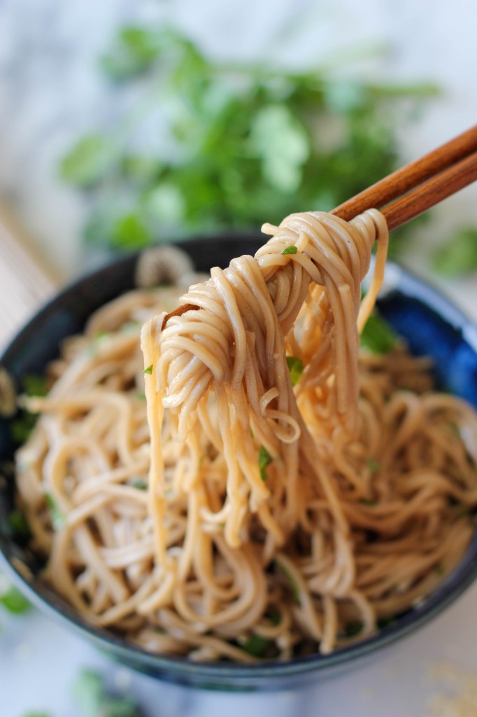 Sesame Soba Noodles - With a simple Asian vinaigrette and soba noodles, you'll have a hearty meal on the dinner table in just 15 minutes!