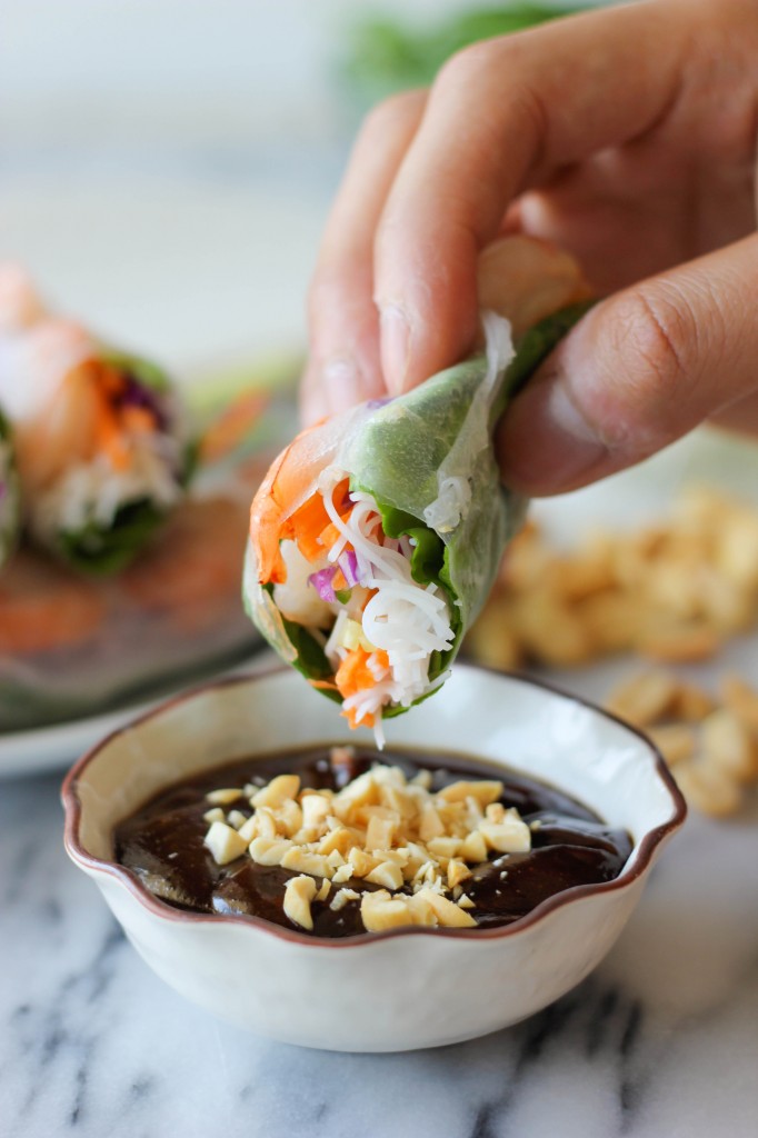 Fresh Spring Rolls - Jo Cooks