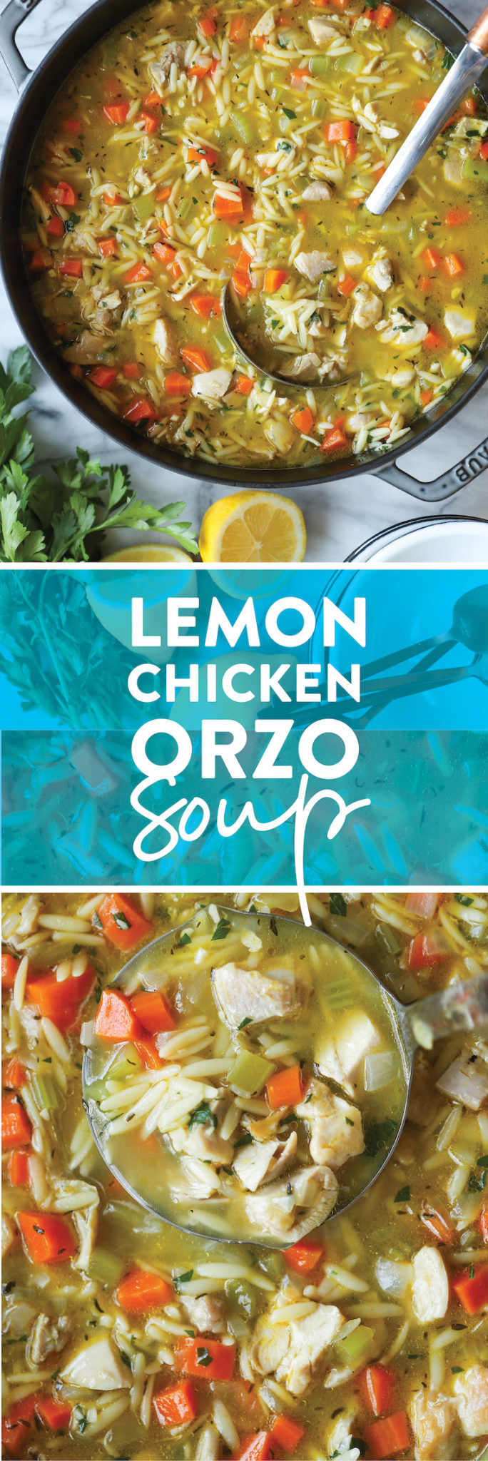 Lemon Chicken Orzo Soup - Damn Delicious