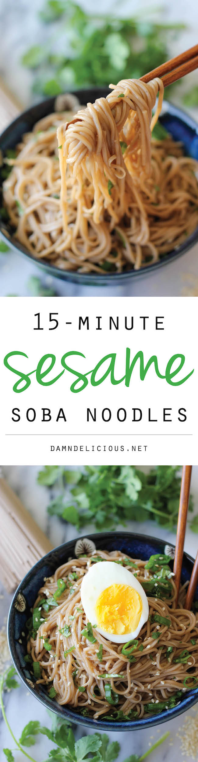 Sesame Soba Noodles - With a simple Asian vinaigrette and soba noodles, you'll have a hearty meal on the dinner table in just 15 minutes!