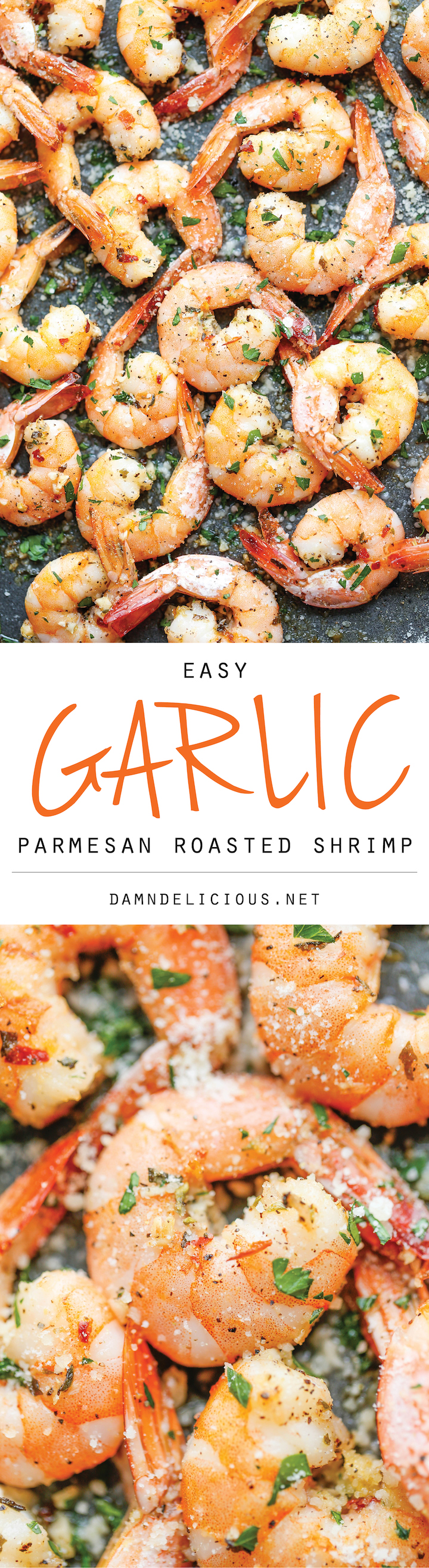 Garlic Parmesan Roasted Shrimp - The easiest roasted shrimp cocktail ever made with just 5 min prep. Yes, it's just that easy!