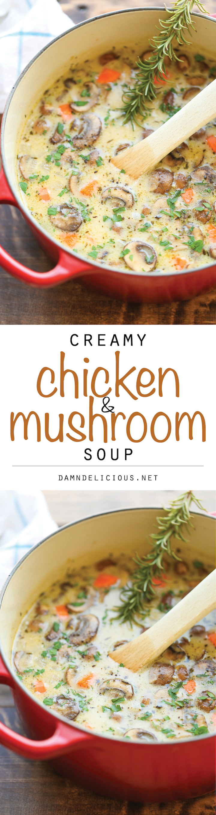 Creamy Chicken and Mushroom Soup