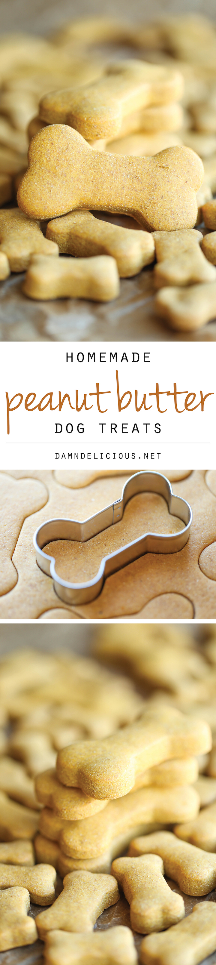 Homemade Peanut Butter Dog Treats Damn Delicious