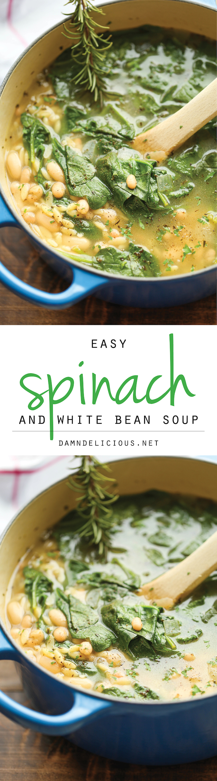 Spinach and White Bean Soup - A healthy and hearty, comforting soup - chock full of fresh spinach, white beans and orzo pasta - made in less than 30 min!