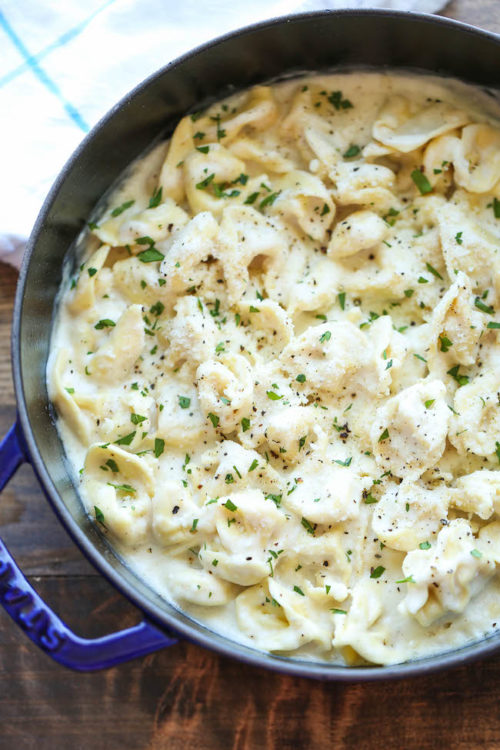 Easy Garlic Alfredo Tortellini - Damn Delicious