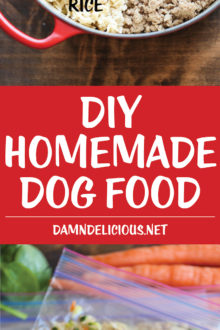 DIY-Homemade-Dog-Food-1-220x330.jpg