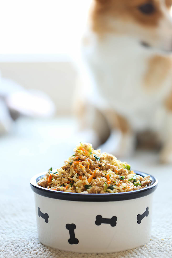 DIY Homemade Dog Food