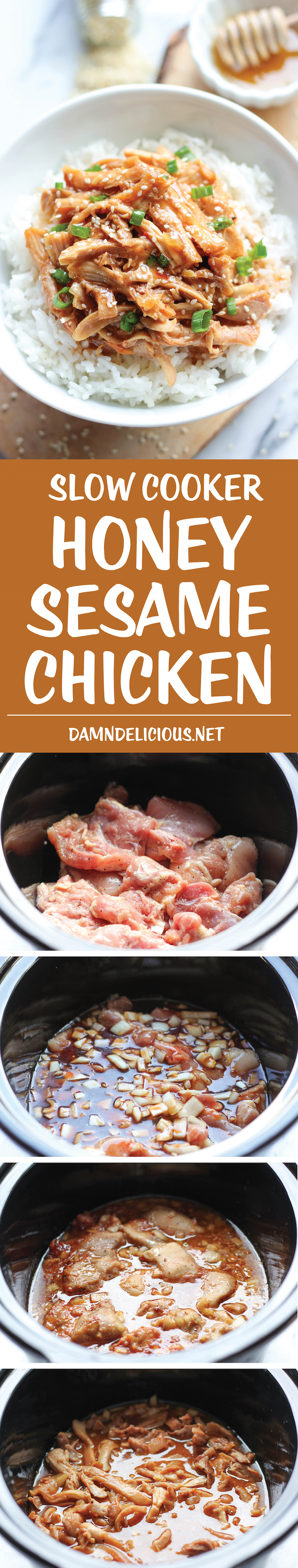 Slow Cooker Rotisserie Chicken - Damn Delicious