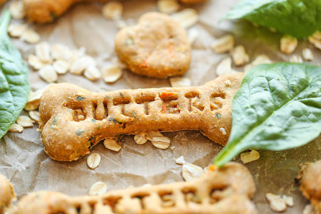 Spinach Carrot And Zucchini Dog Treats Damn Delicious