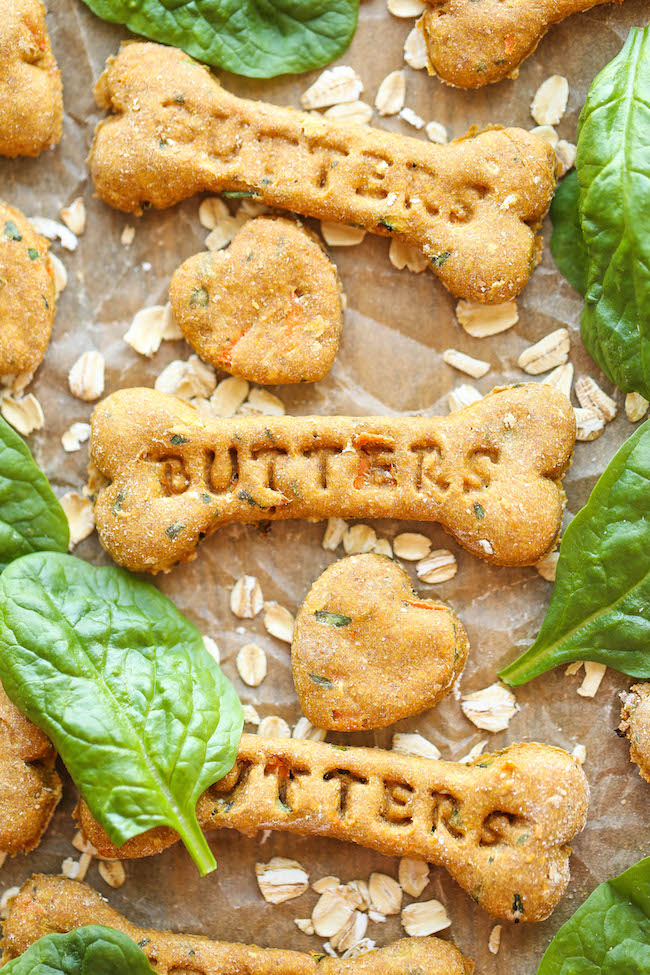 Spinach Carrot And Zucchini Dog Treats Damn Delicious