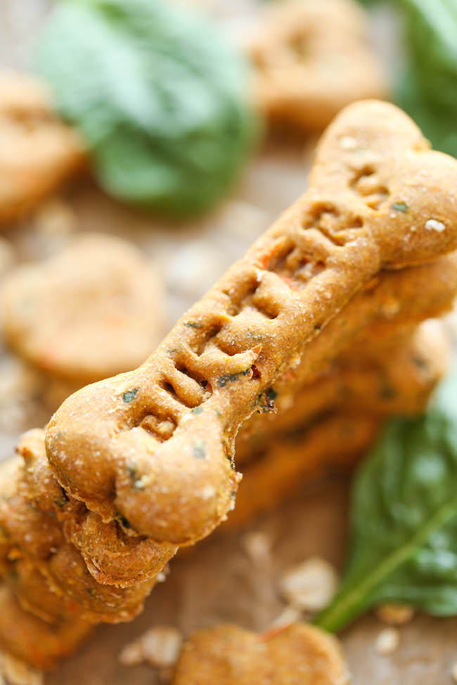 Spinach, Carrot and Zucchini Dog Treats - DIY dog treats that are nutritious, healthy and so easy to make. Plus, your pup will absolutely LOVE these!