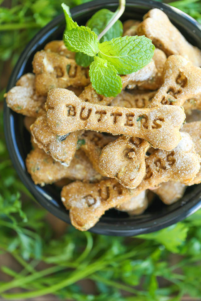 Pumpkin Apple Doggie Mint Treats - Freshen your dog's breath with these homemade dog treats. It's easy, healthy and cheap. It's a win-win!