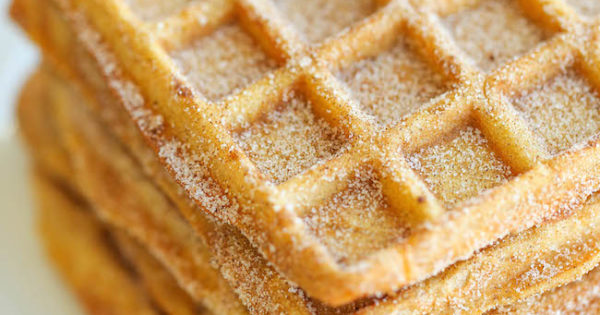 Pumpkin Churro Waffles Damn Delicious