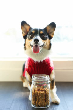 Peanut Butter Banana Dog Treats