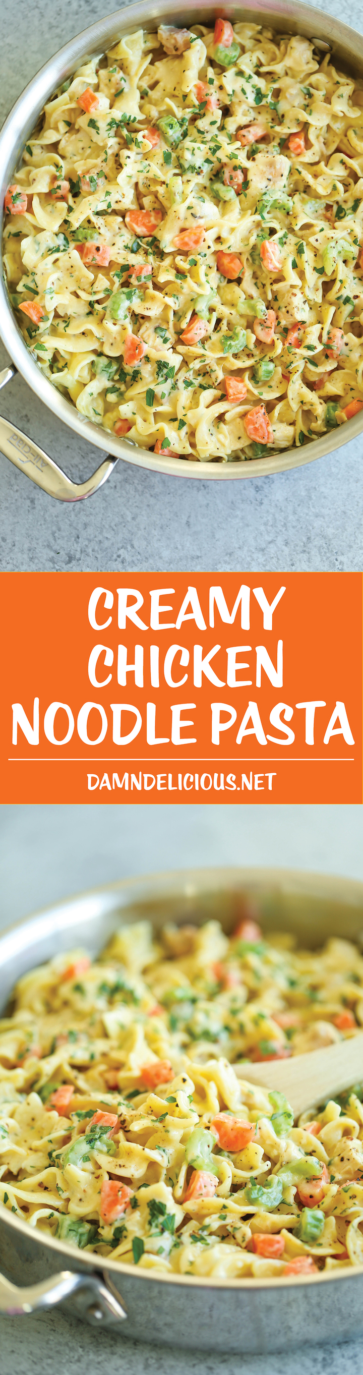 Creamy Chicken Noodle Pasta - This is like everyone's favorite chicken noodle soup except in creamy, melt-in-your-mouth pasta form! It's seriously AMAZING.