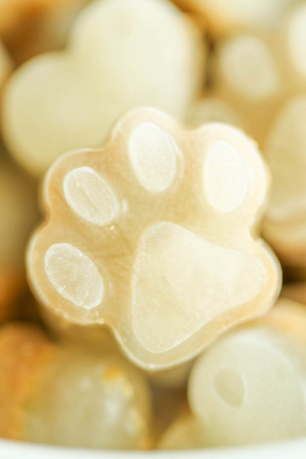 are frozen dog treats safe for puppies