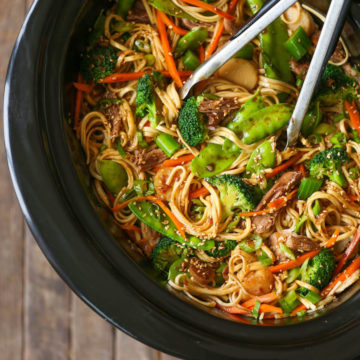 Slow Cooker Lo Mein Damn Delicious