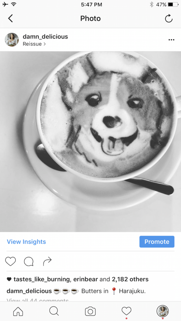 White Mushroom Pizza - Damn Delicious