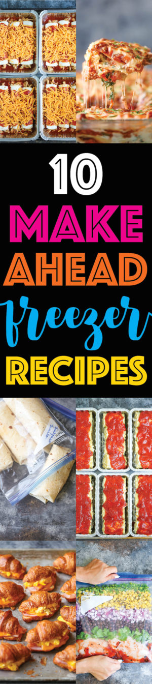 10 Make Ahead Freezer Recipes - Damn Delicious