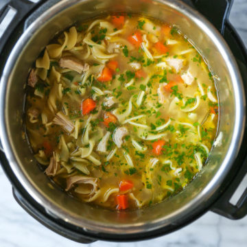 Instant Pot Chicken Noodle Soup - Damn Delicious