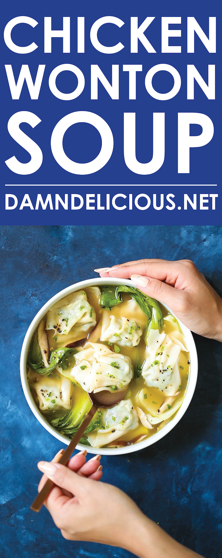 Chicken Wonton Soup - Omnivore's Cookbook