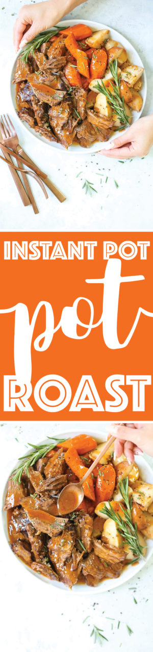 Instant Pot Pot Roast - Damn Delicious