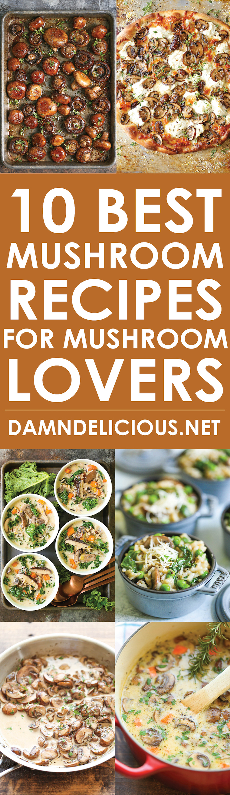 10 Best Mushroom Recipes for Mushroom Lovers - From the most amazing white mushroom pizza to the creamiest IP mushroom risotto, these recipes are THE BEST!!
