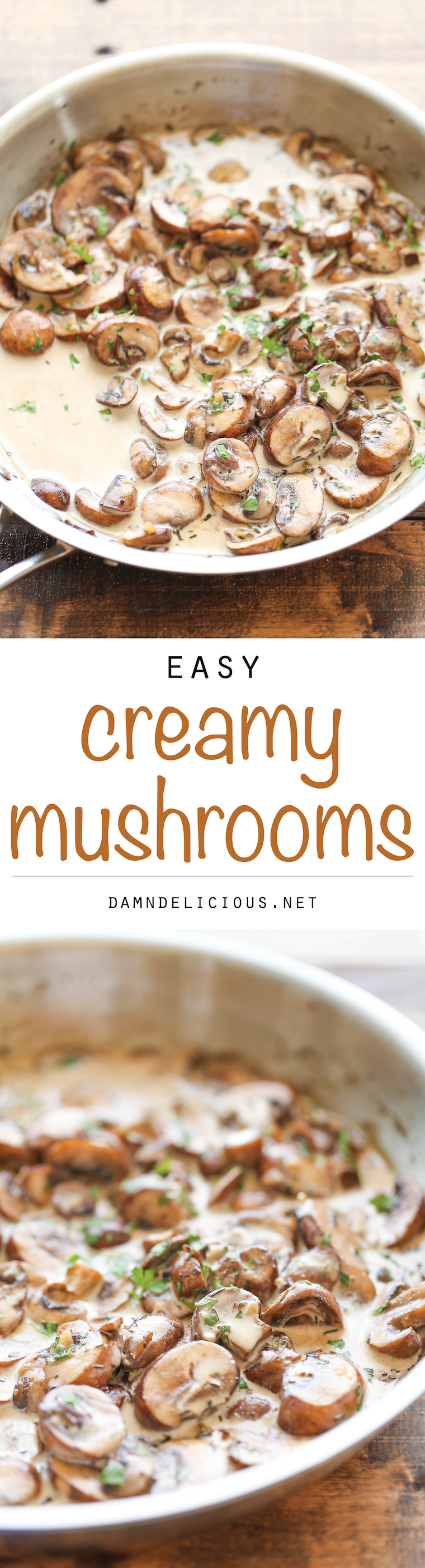 Easy Creamy Mushrooms  -  The easiest, creamiest mushrooms you will ever have – it’s so good, you’ll want to skip the main dish and make this a meal instead!