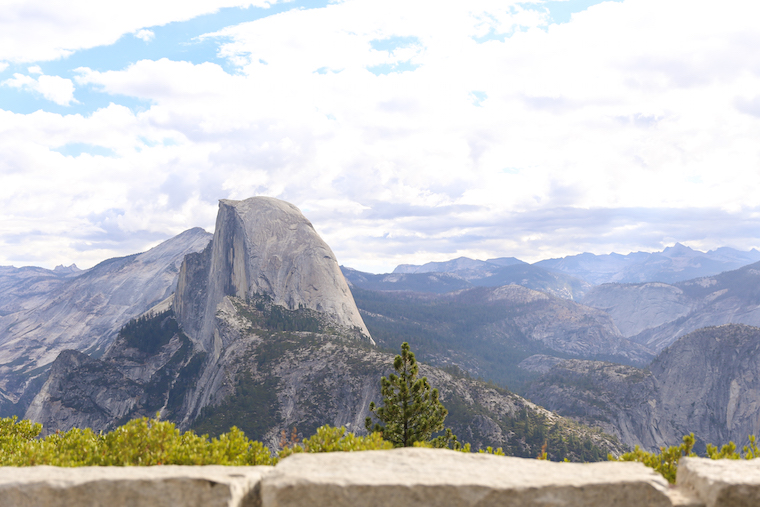 Traveling to Yosemite with a Dog - How to travel to Yosemite with your pets! Plus, some very helpful tips including dog-friendly trails at the park!