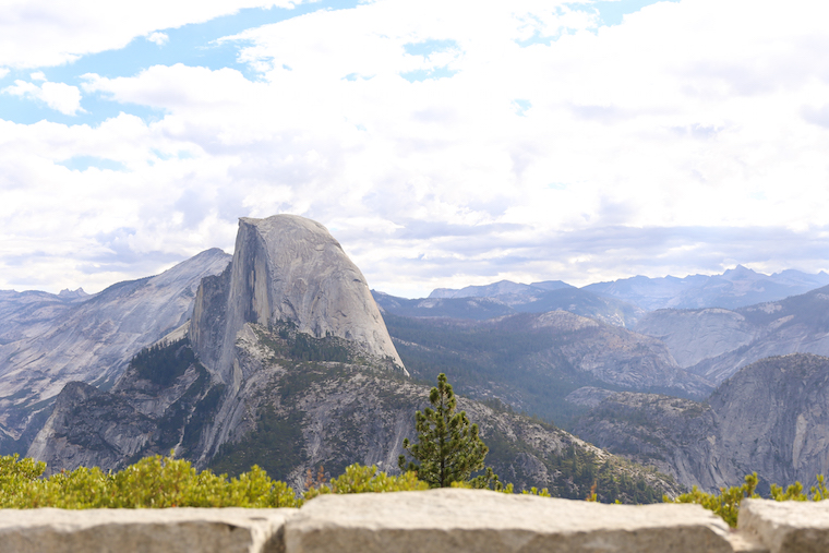 is glacier point dog friendly