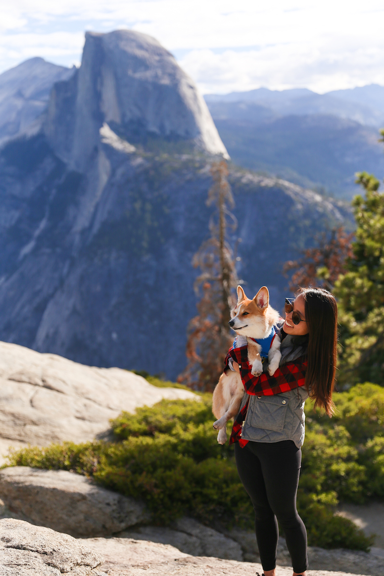 Traveling to Yosemite with a Dog - How to travel to Yosemite with your pets! Plus, some very helpful tips including dog-friendly trails at the park!