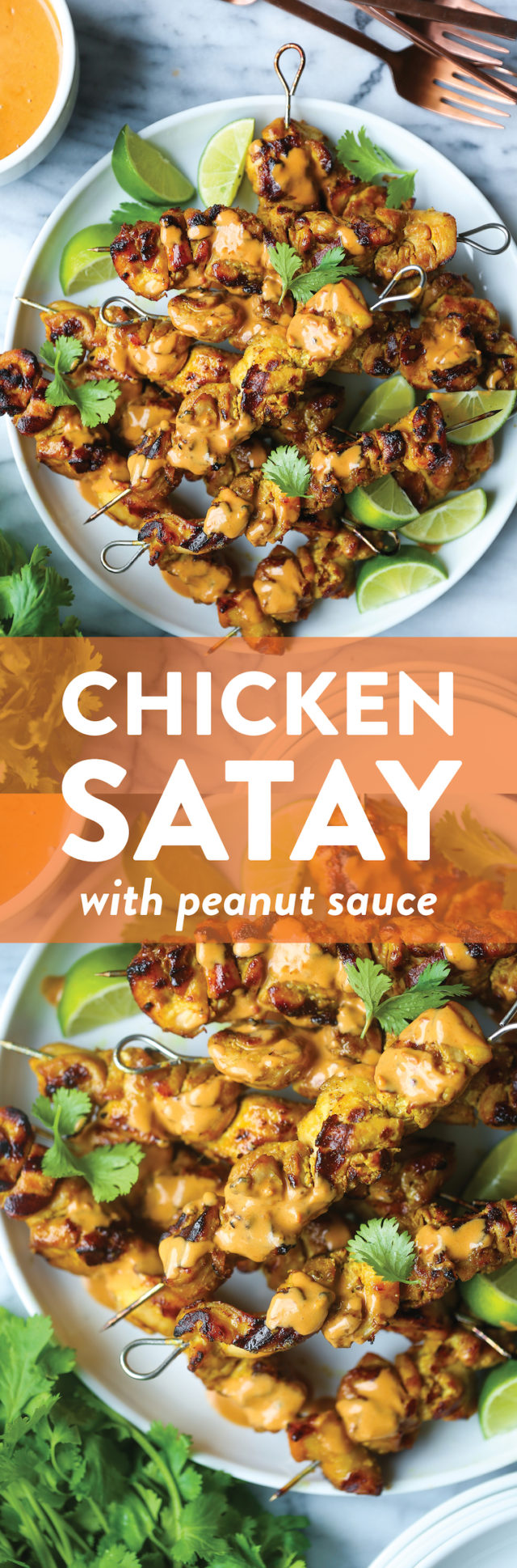Chicken Satay with Peanut Sauce - Damn Delicious
