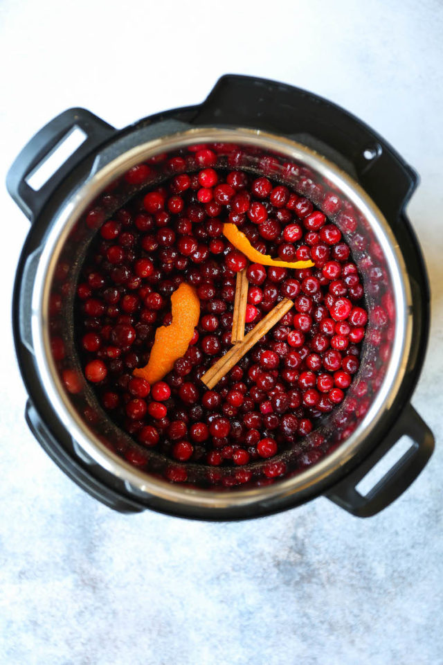Instant Pot Cranberry Sauce Recipe | Damn Delicious