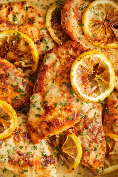 Parmesan Lemon Chicken - Damn Delicious