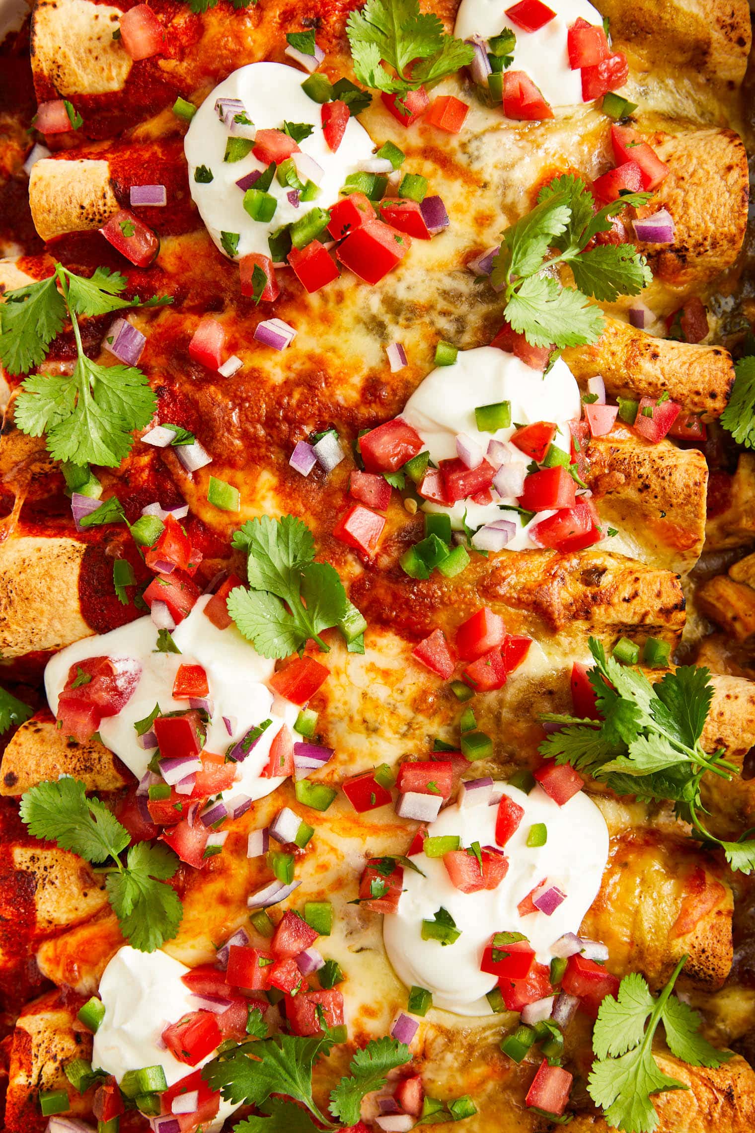 Red and Green Chicken Enchiladas