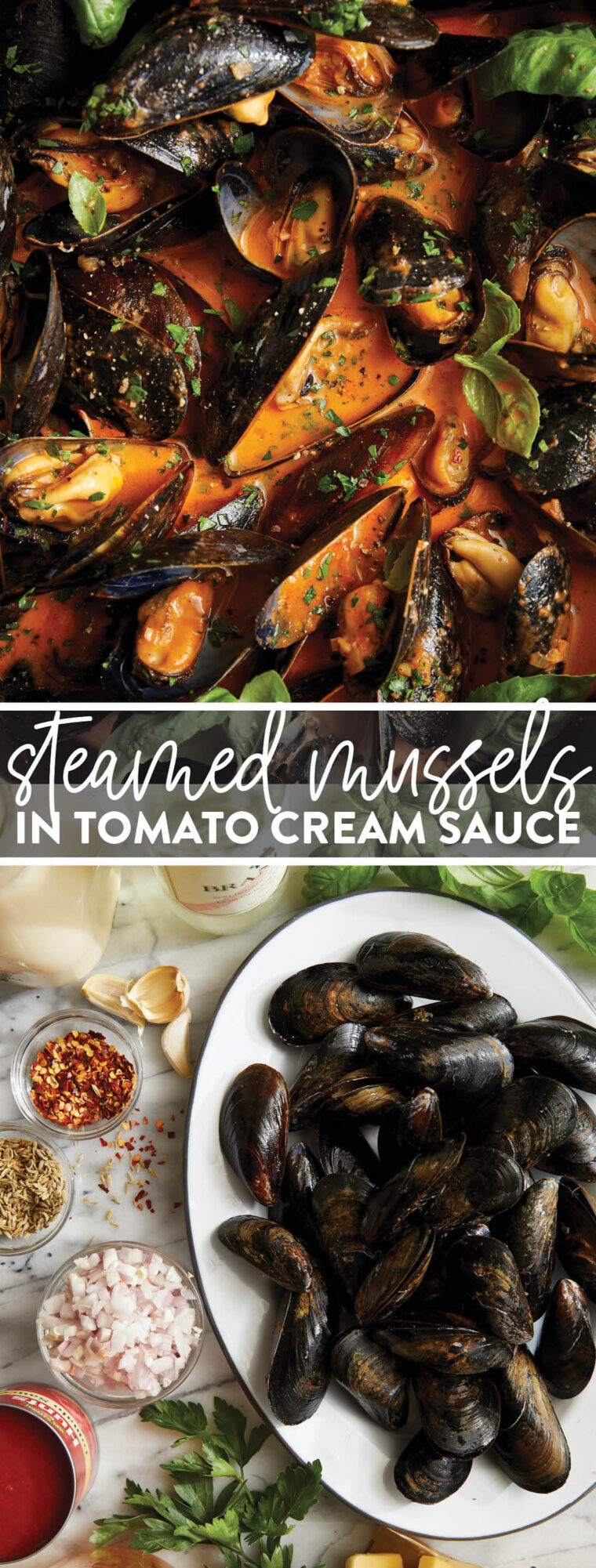 Steamed Mussels in Tomato Cream Sauce - Quick to cook, oh-so-perfect mussels in the best cream sauce ever. Serve with a baguette for dipping!