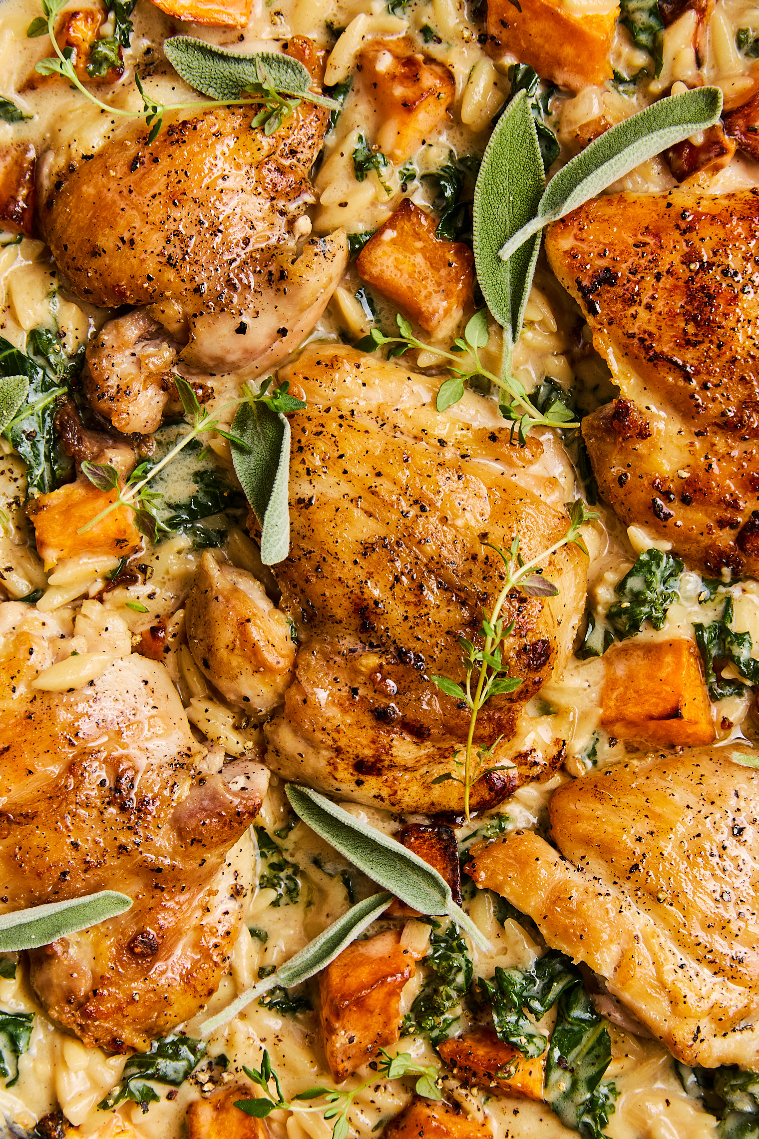 Chicken and Butternut Squash Orzo-image